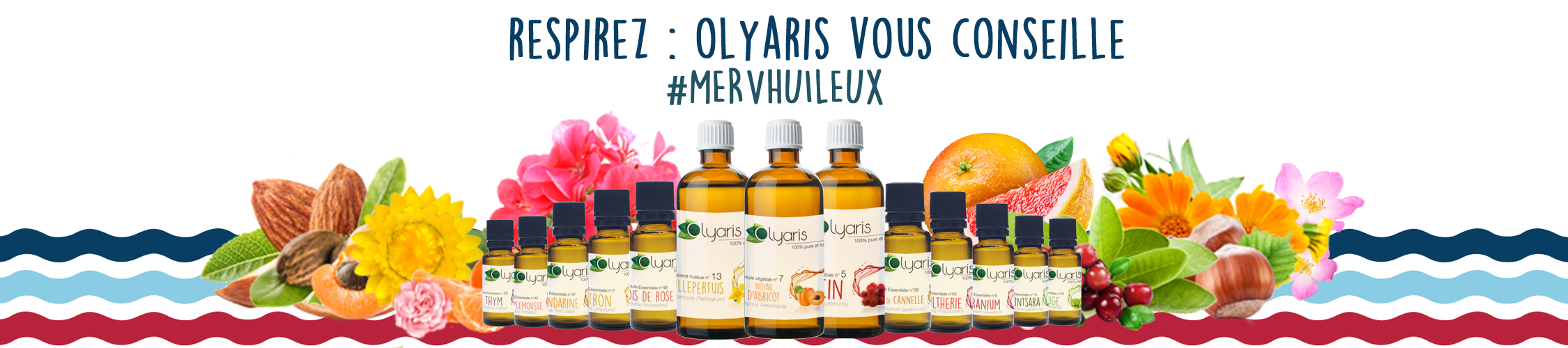 Huile d'Olive - Olyaris